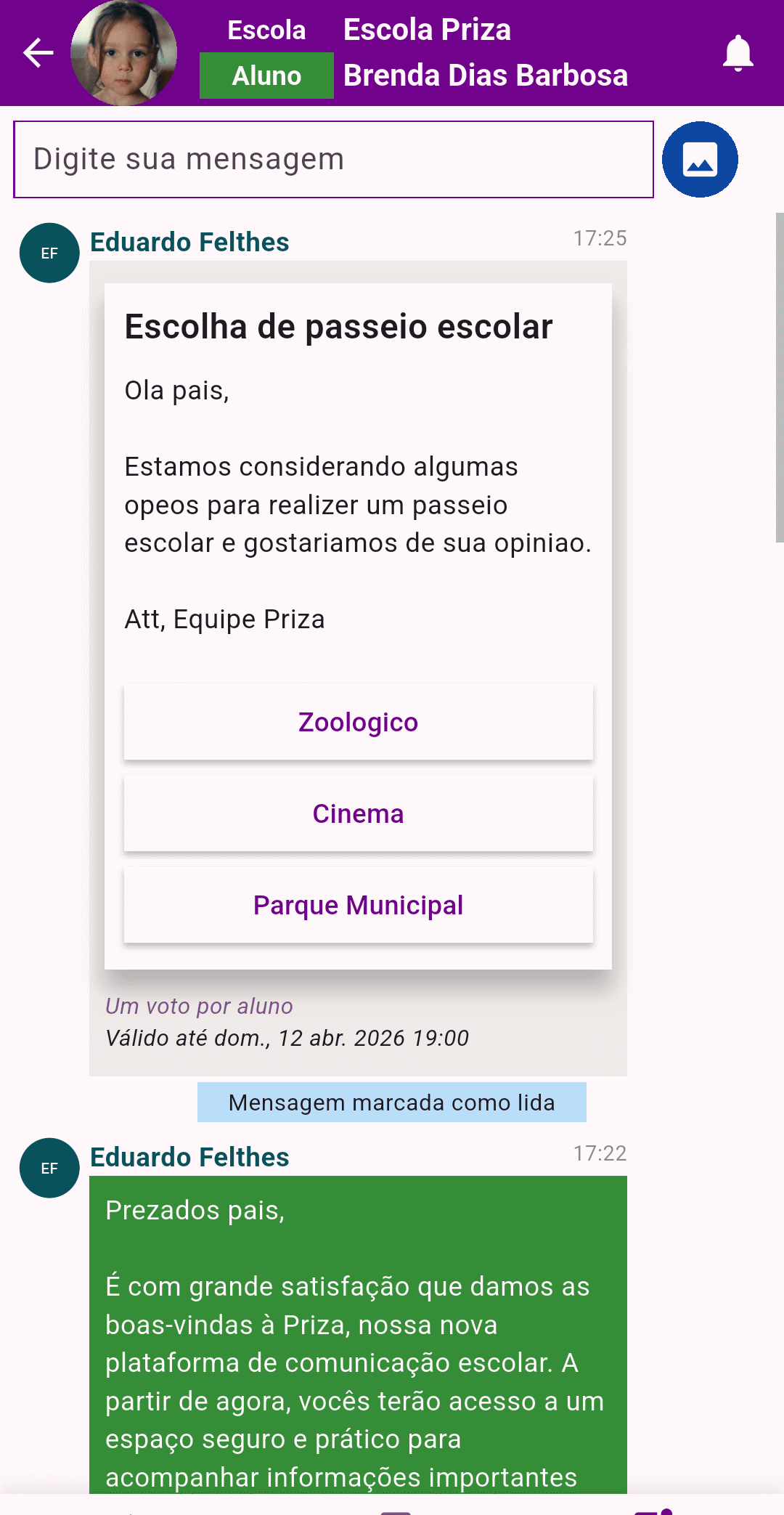Histórico de Mensagem em Massa